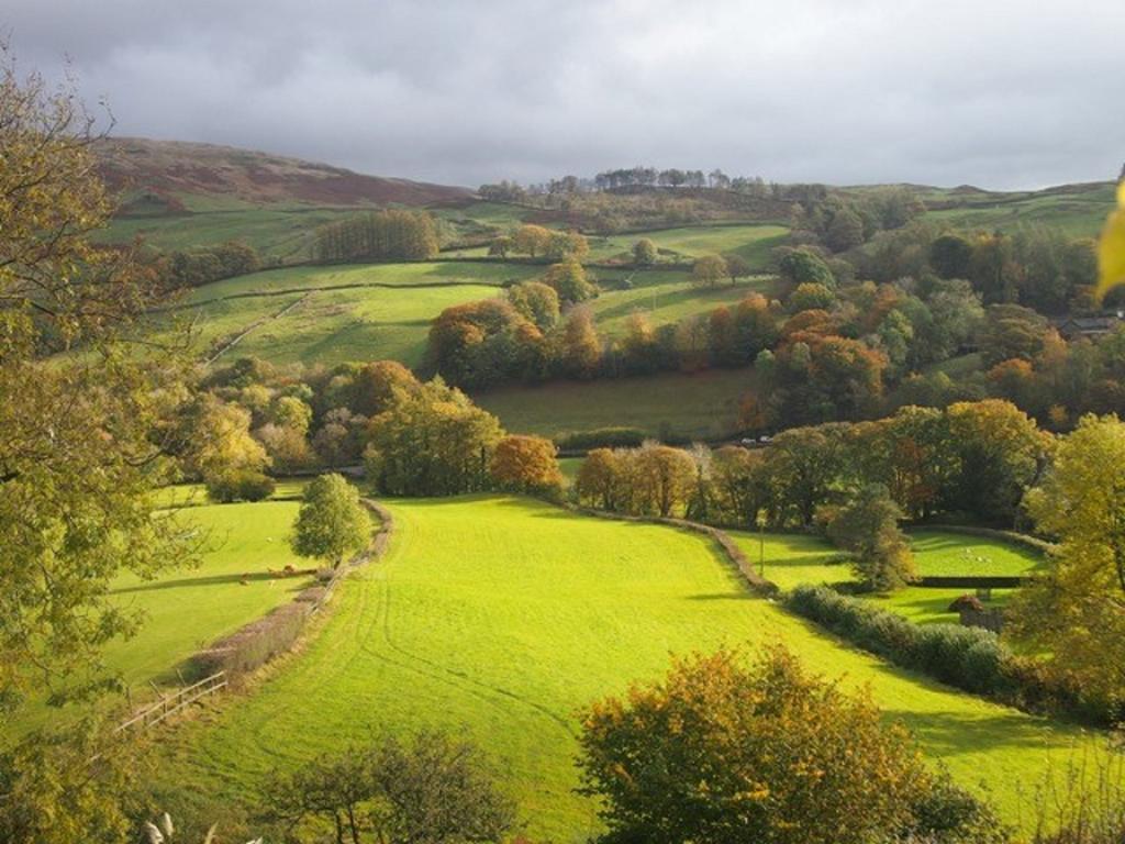 High Fold Pensión Troutbeck (South Lakeland)