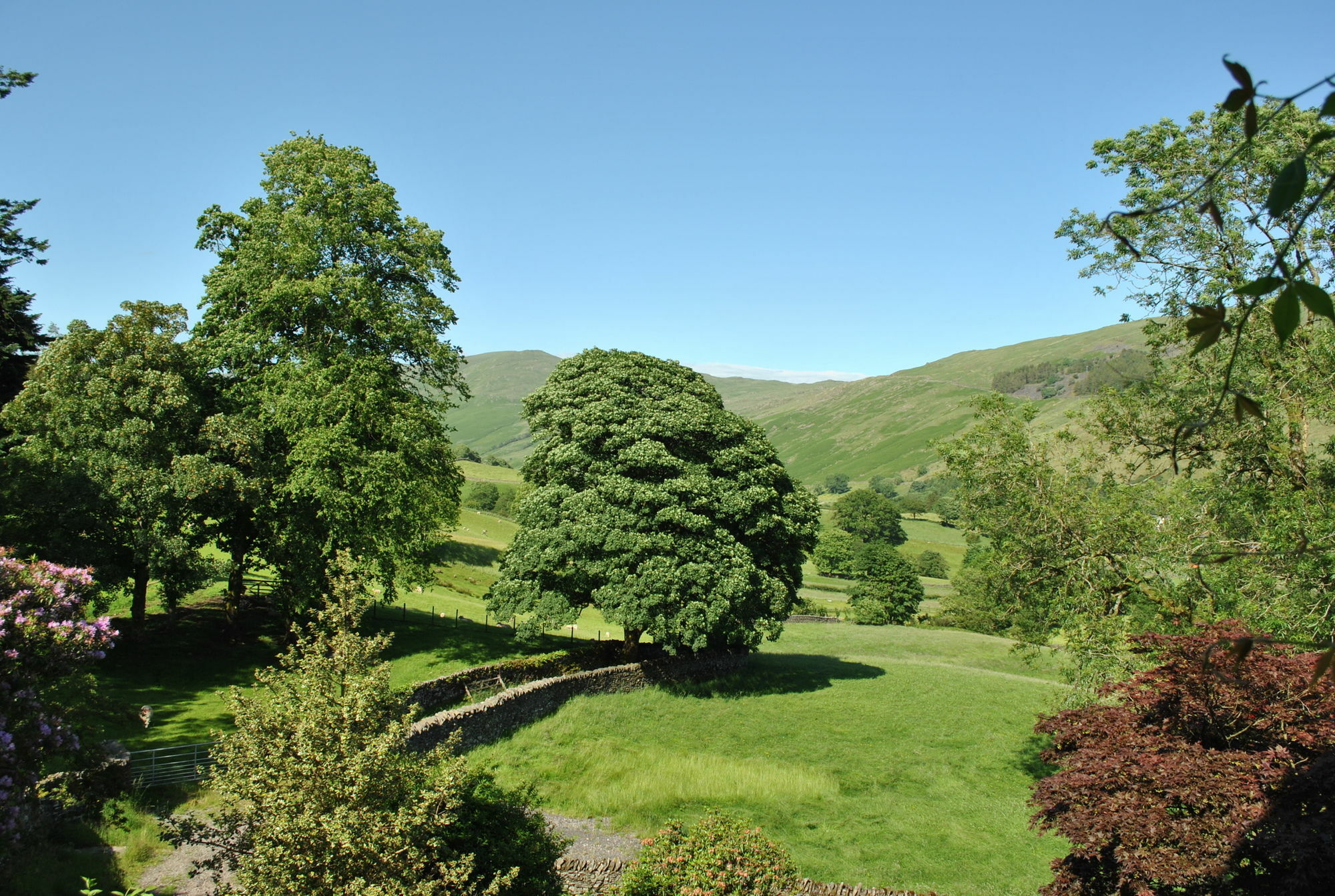 Pensión High Fold Troutbeck (South Lakeland)